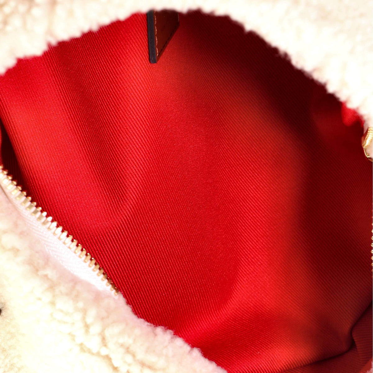 Louis Vuitton Bum Bag Monogram Giant Teddy Fleece