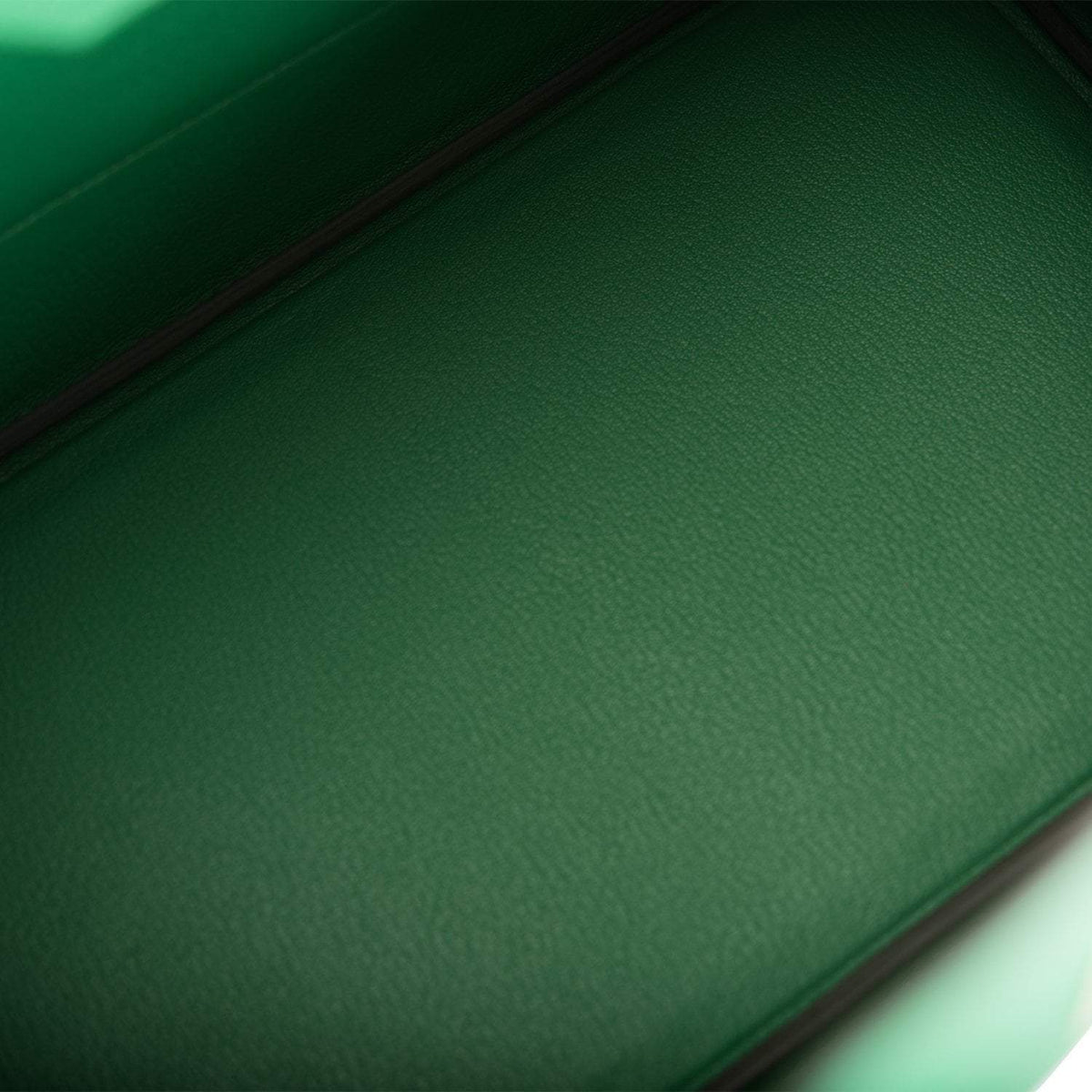 Hermes Birkin 35 Cactus Epsom, Gold Hardware