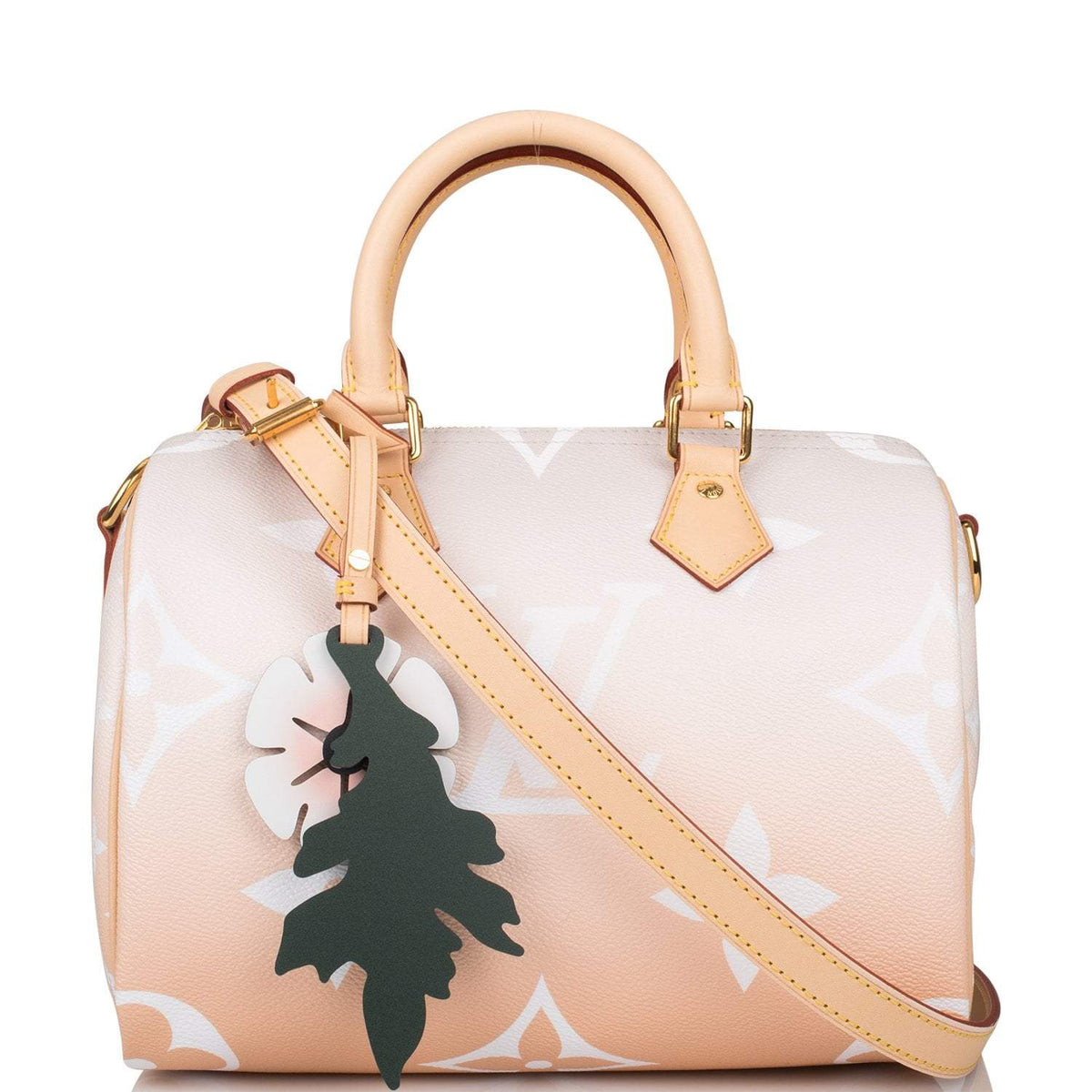 Louis Vuitton Speedy 25, Mist By The Pool Bandouliere