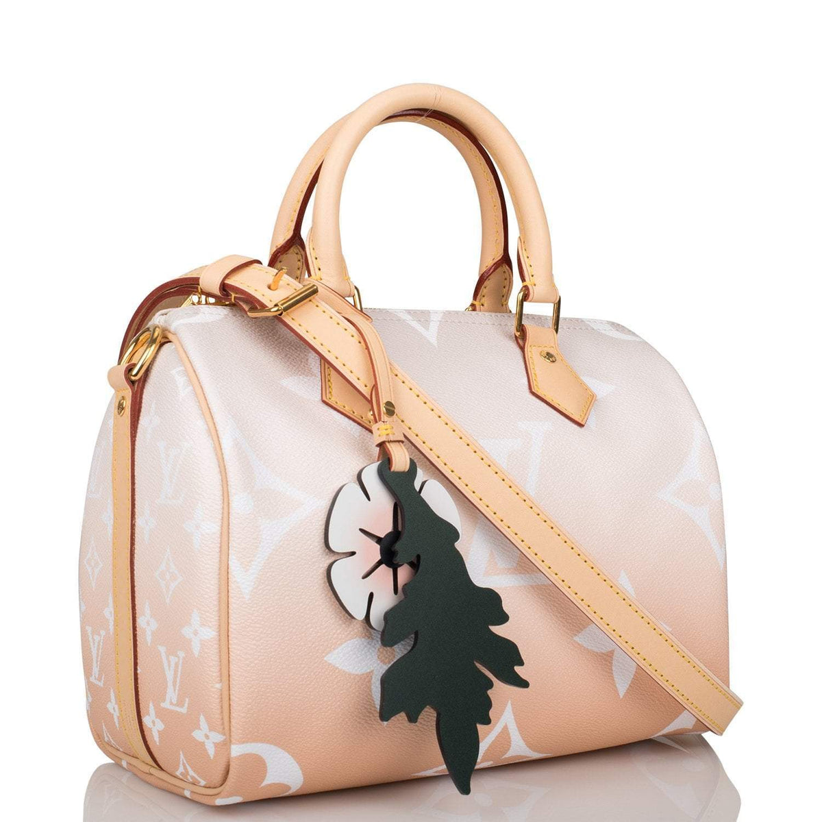 Louis Vuitton Speedy 25, Mist By The Pool Bandouliere