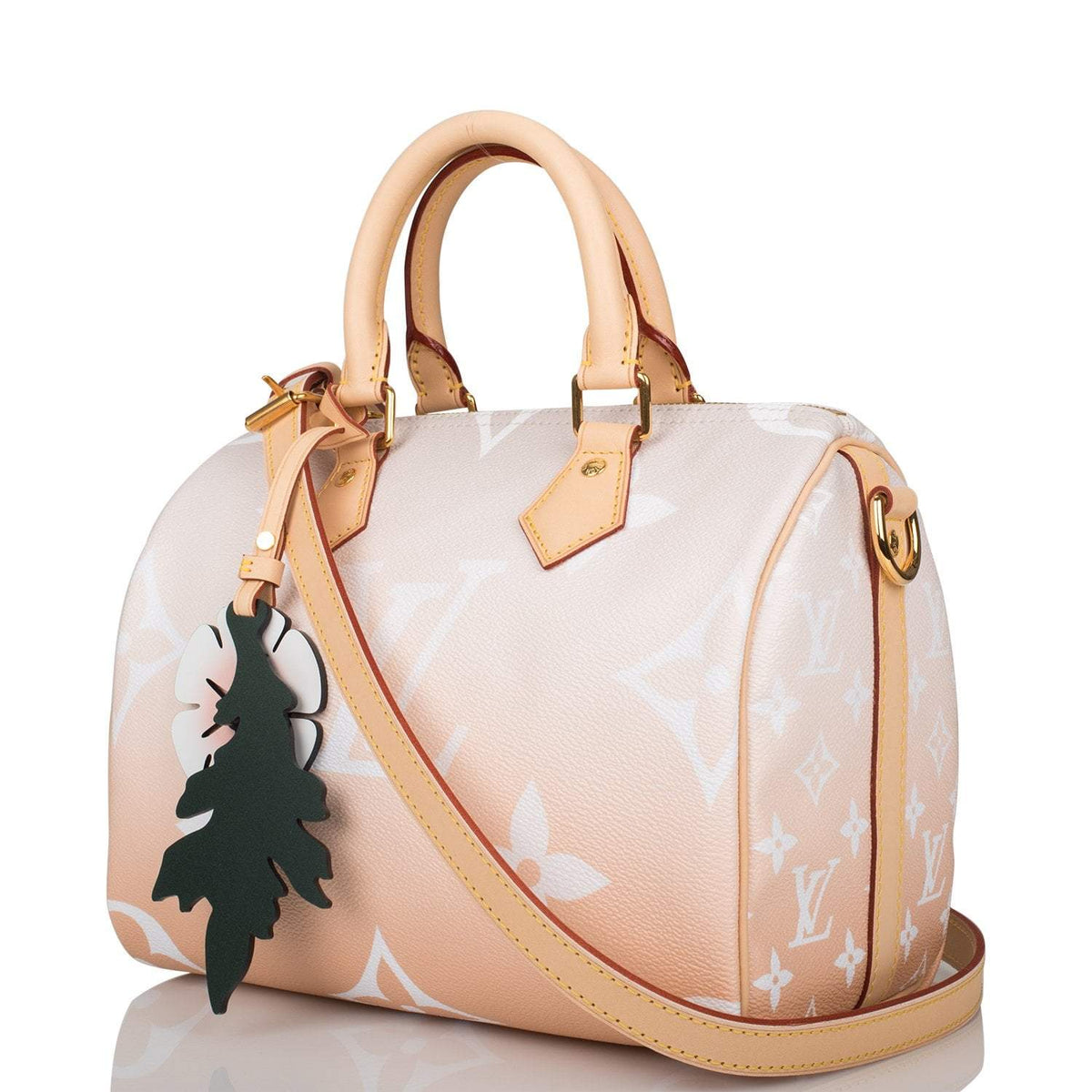 Louis Vuitton Speedy 25, Mist By The Pool Bandouliere