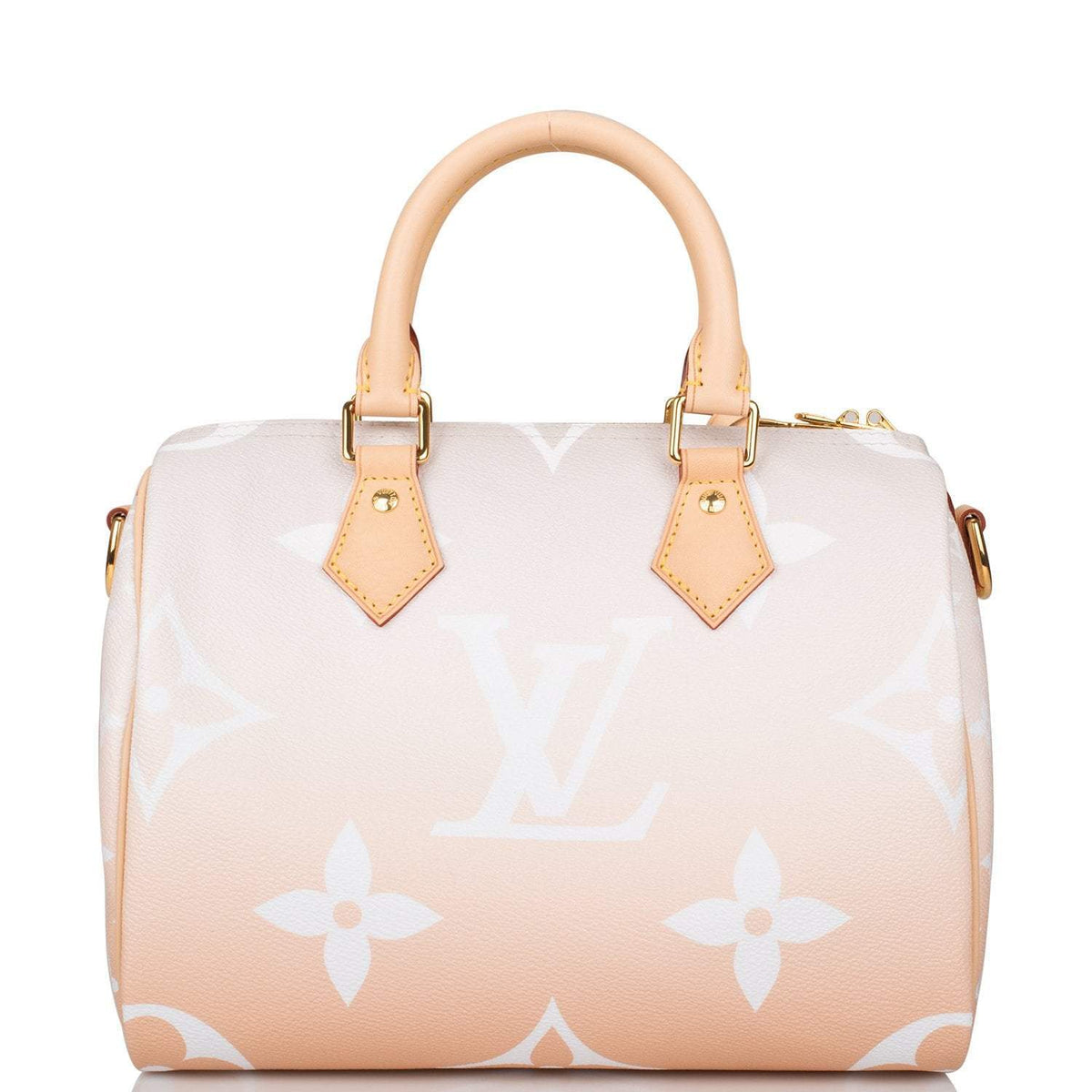 Louis Vuitton Speedy 25, Mist By The Pool Bandouliere