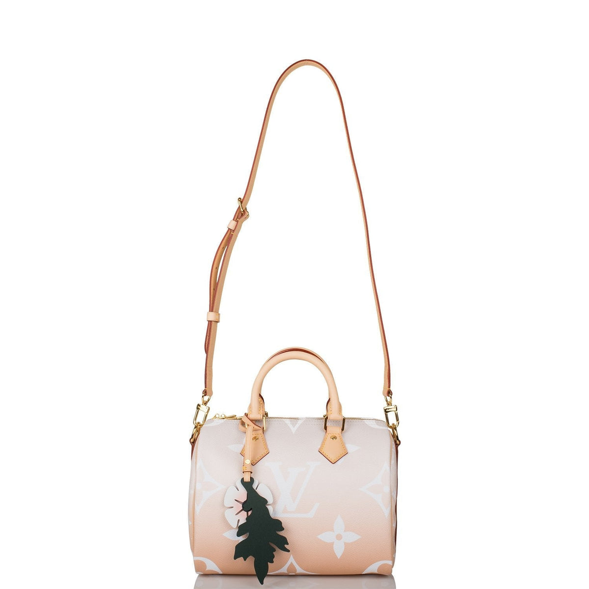 Louis Vuitton Speedy 25, Mist By The Pool Bandouliere