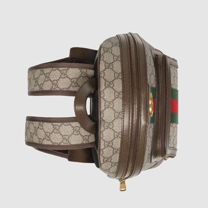 Gucci Ophidia Small Backpack, Brown Leather, GG Canvas