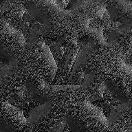 Louis Vuitton Coussin PM