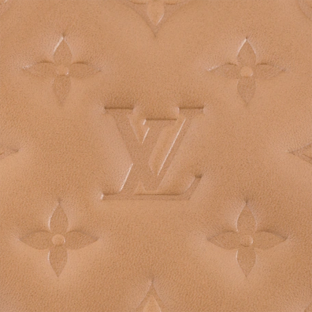 Louis Vuitton Coussin PM Camel